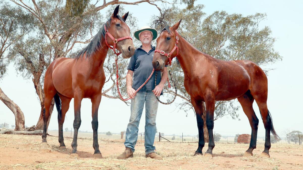 Takidah and Floorless with David Druitt at his Brucedale property.