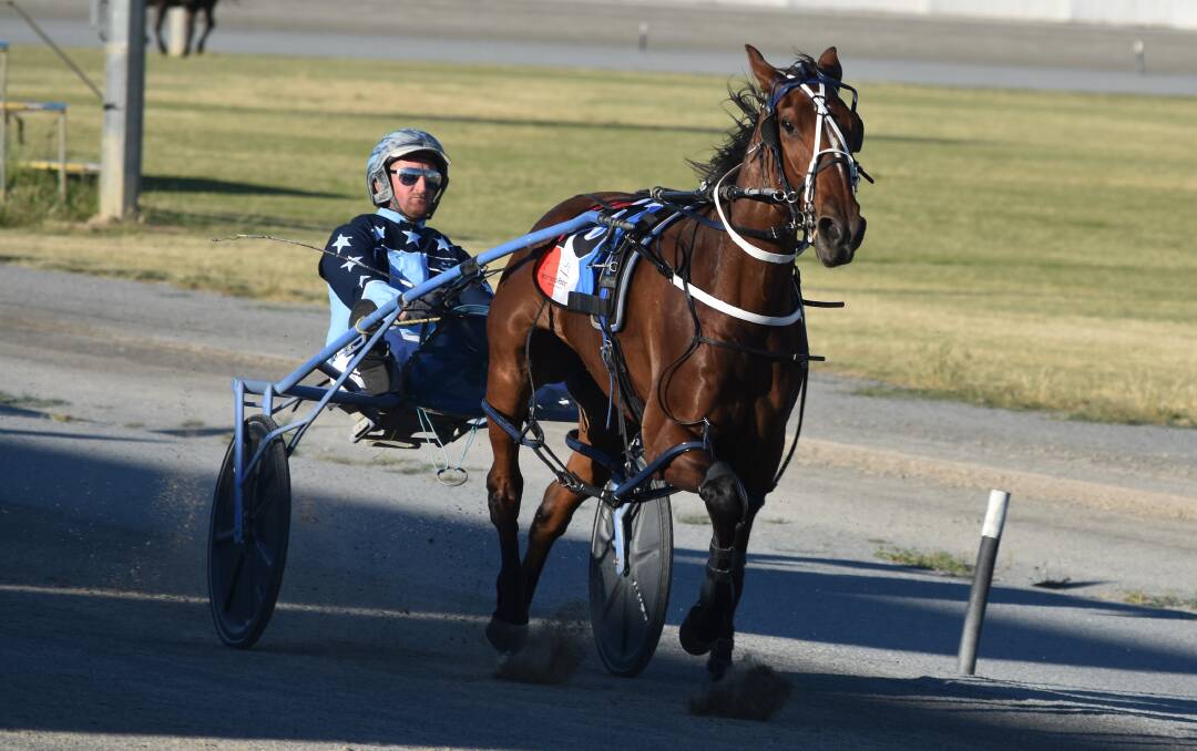 STRONG START: Shes A Caribbean kicked off a hat-trick of wins for Euroley combination Jackson Painting and David Kennedy at Leeton on Tuesday. Picture: Courtney Rees