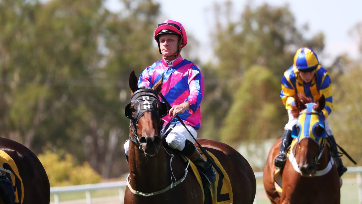 Blaike McDougall has four rides for Donna Scott at Albury on Monday including last-start winner Hazel's Diary and Star Of Tennesse. 