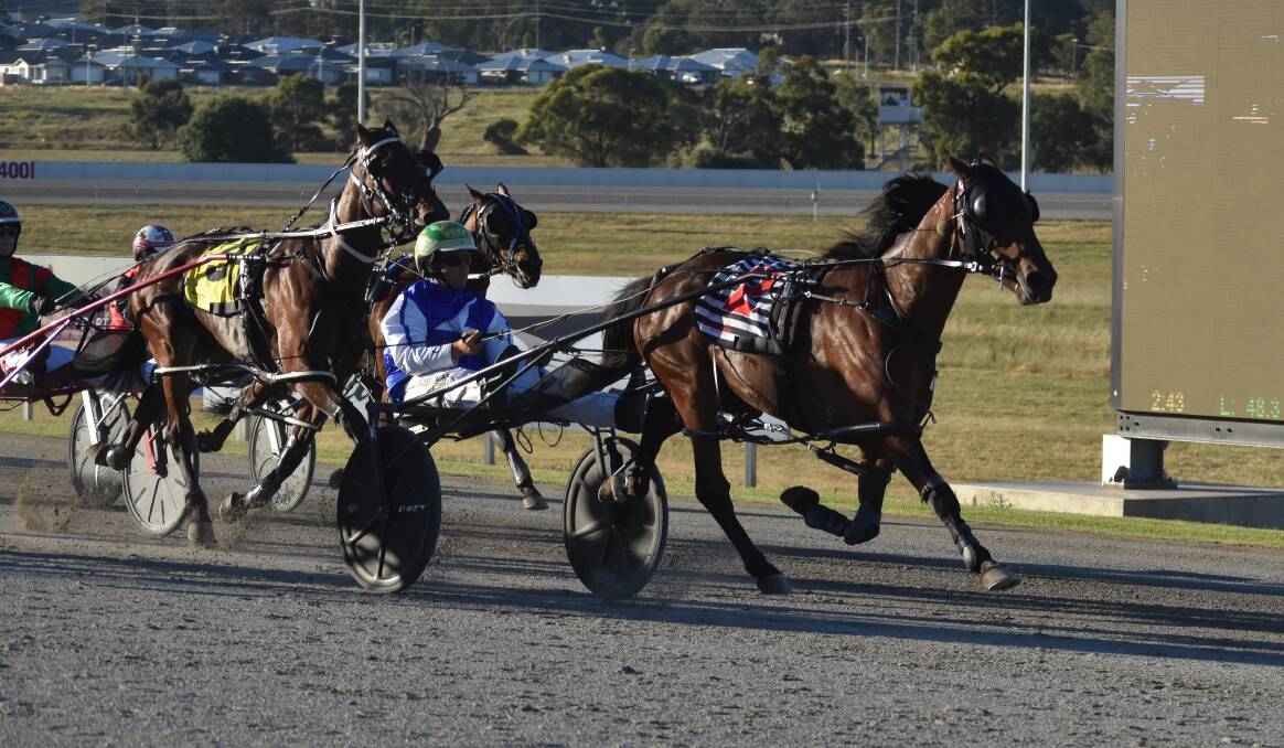 WINNING FORM: Blake Micallef guides So Much Bettor to victory at Riverina Paceway on Tuesday as the second leg of a double for his father David. Picture: Courtney Rees