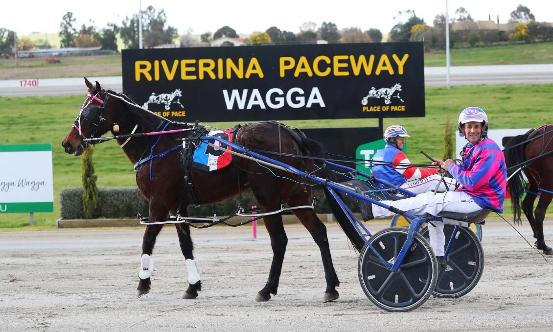 TIMELY RETURN: Shane Hallcroft is all smiles after Smash That returned to the track a winner at Riverina Paceway on Friday after almost two years off racing. Picture: Emma Hillier.