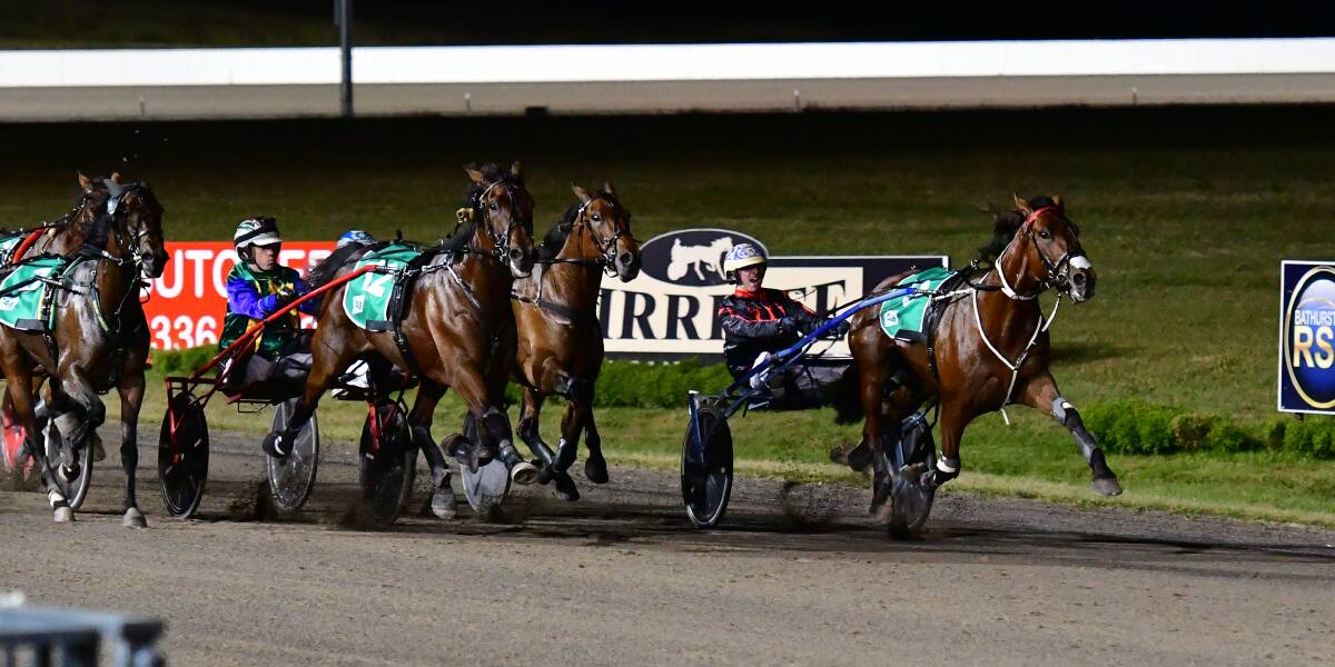 GOOD FORM: Cameron Hart guides Timothy Red to victory
in the second round of Inter Dominion heats at Bathurst on Wednesday night. Picture: Alex Grant