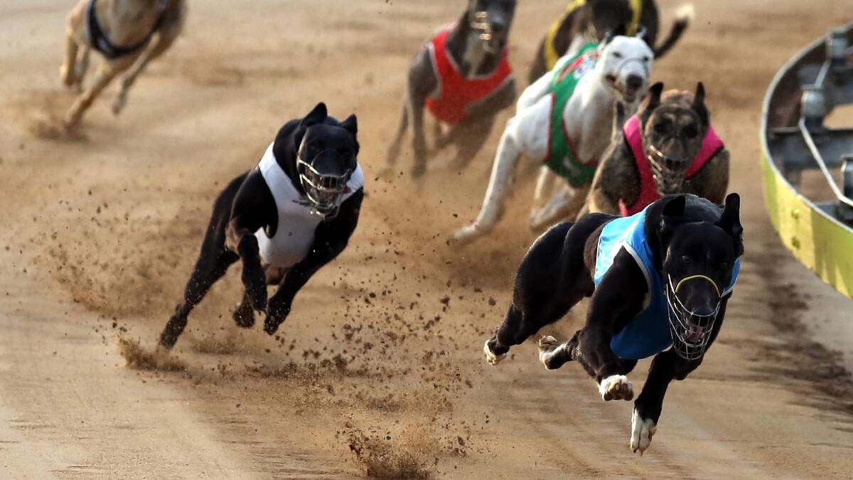 OFF AND RACING: Wagga will host two heats of the Million Dollar Chase on Thursday night.