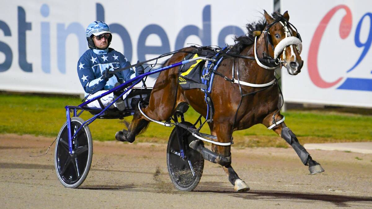 PERFECT RECORD: Jackson Painitng guides Blazing Home to victory at Menangle on Saturday. Picture: Racing at Club Menangle