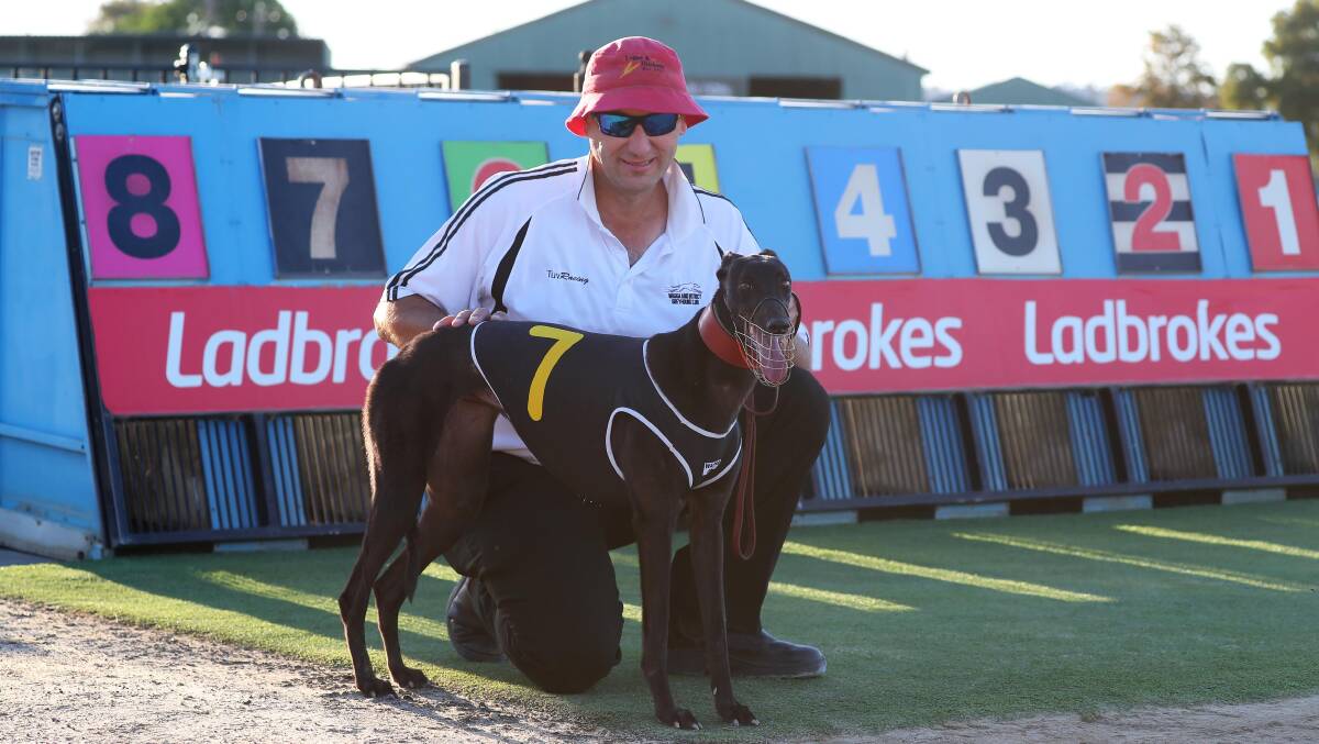 HAPPY DAYS: Jason Tuovi with Sycamore Lou Lou after her win at Wagga on Friday night. Picture: Emma Hillier