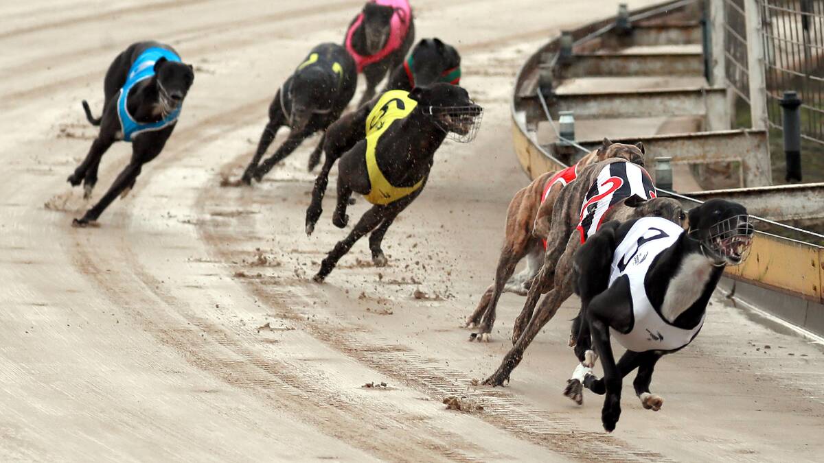 The first of 10 races at Wagga on Friday starts at 7.05pm.