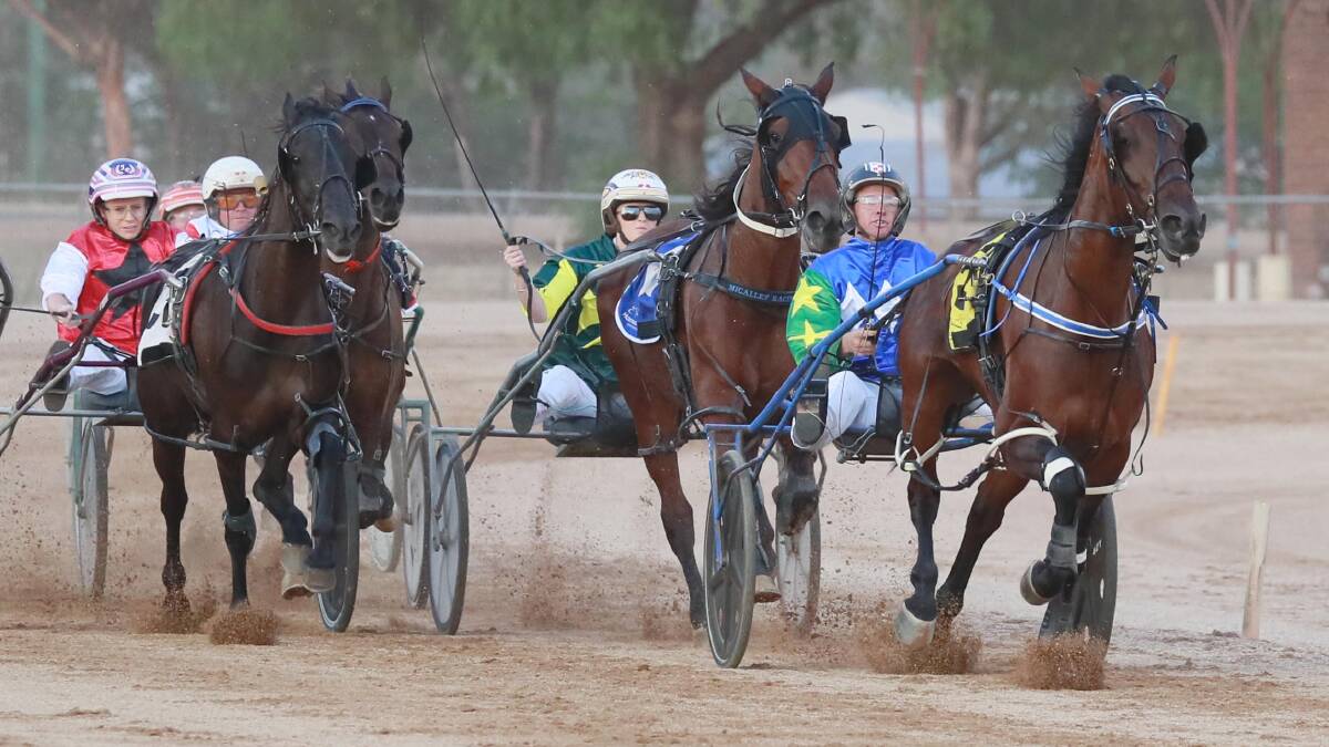 WINNING START: Cameron Maggs steers Rollecks to victory at Temora, the first of a winning treble for the Euroa trainer-driver. Picture: Les Smith