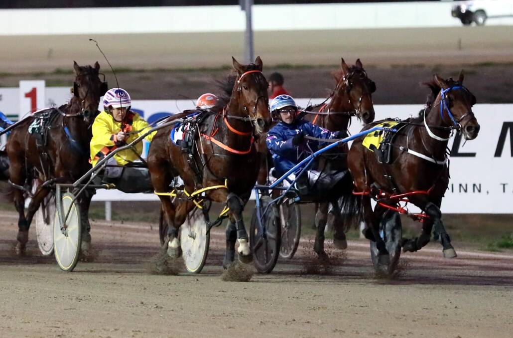 SHORTEST WAY HOME: Mini Major takes a narrow win over Irish Shenanigans at Riverina Paceway on Friday. Picture: Les Smith