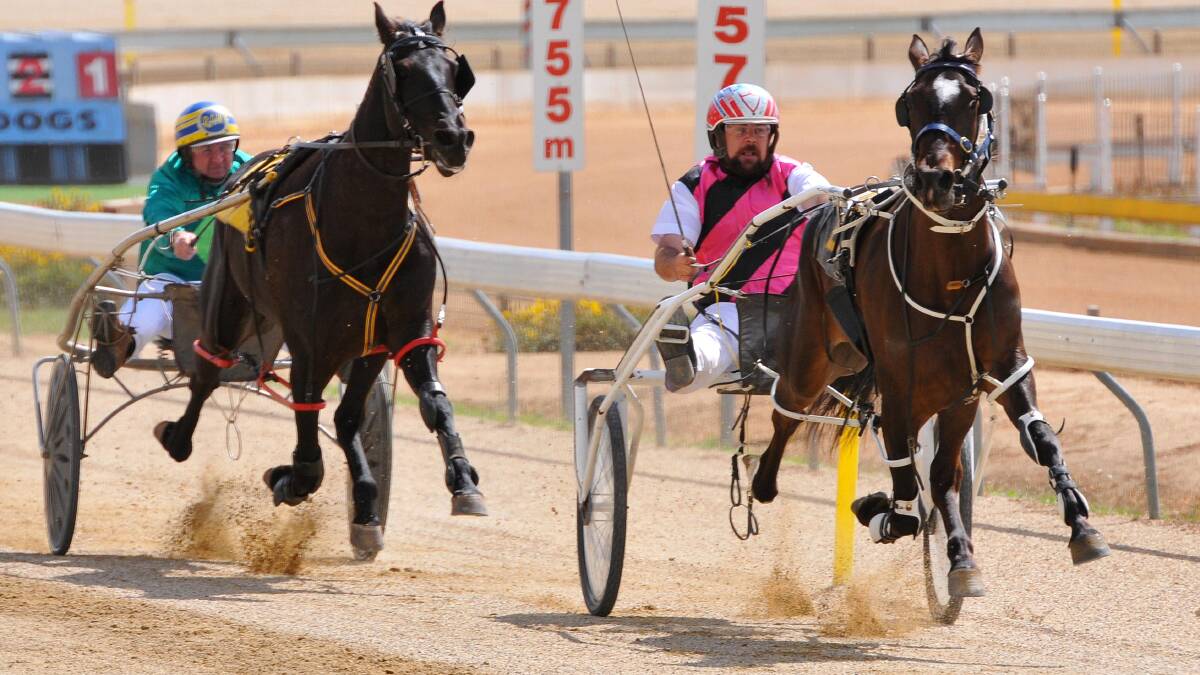 Daniel Jack lines up three-year-old fillies Im Delightful and La La Bron at Riverina Paceway on Friday.