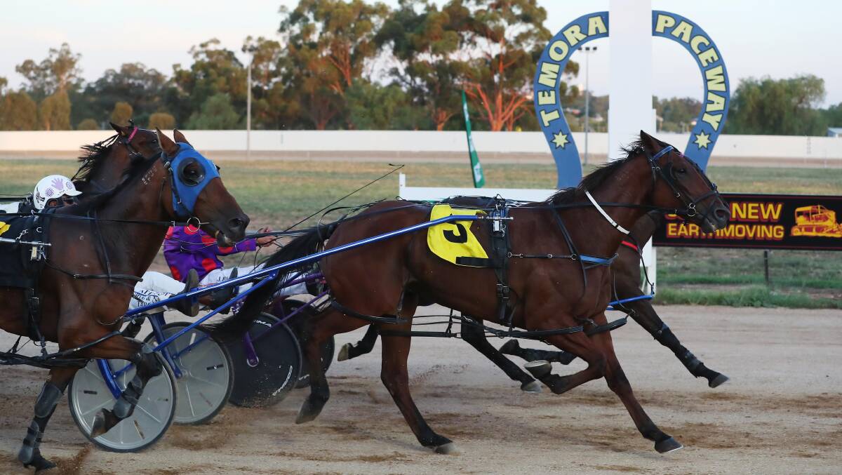JUST IN TIME: Blackbird Power gets up in the final stride to take out the Temora Pacers Cup on Saturday night. Picture: Emma Hillier