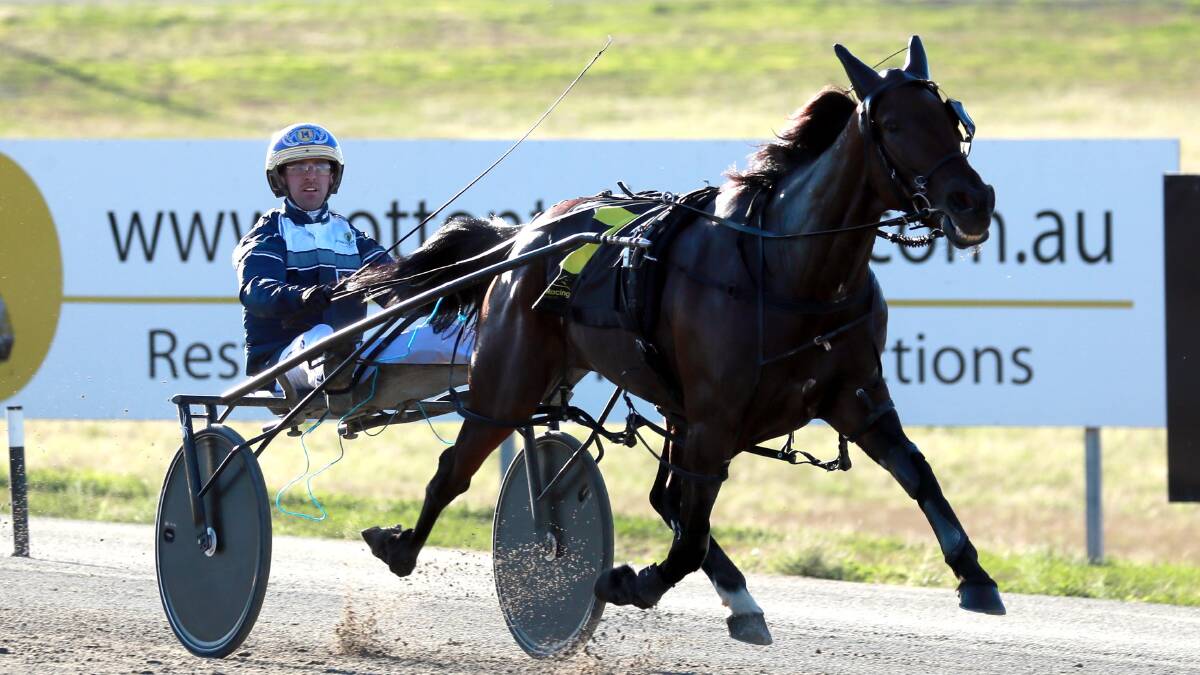 Cameron Hart is looking to add to his group one tally at Riverina Paceway on Saturday.