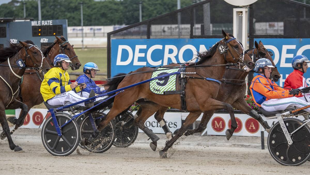 TOP PERFORMANCE: The Rickie Alchin-trained Tough Monarch finished second in the Dominion at Addington on Friday. Picture: Ashlea Brennan Photography