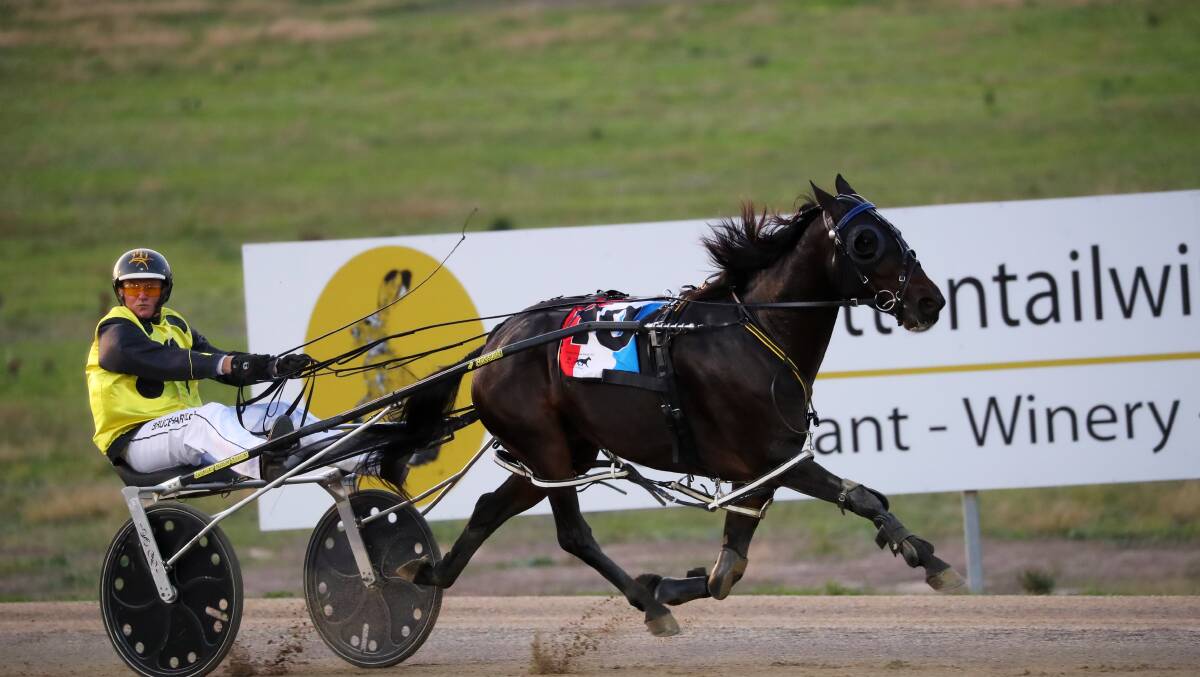 OFF AND AWAY: Bruce Harpley keeps an eye on his rivals as Delightful Jackie bounds away to win at Riverina Paceway on Tuesday. Picture: Emma Hillier