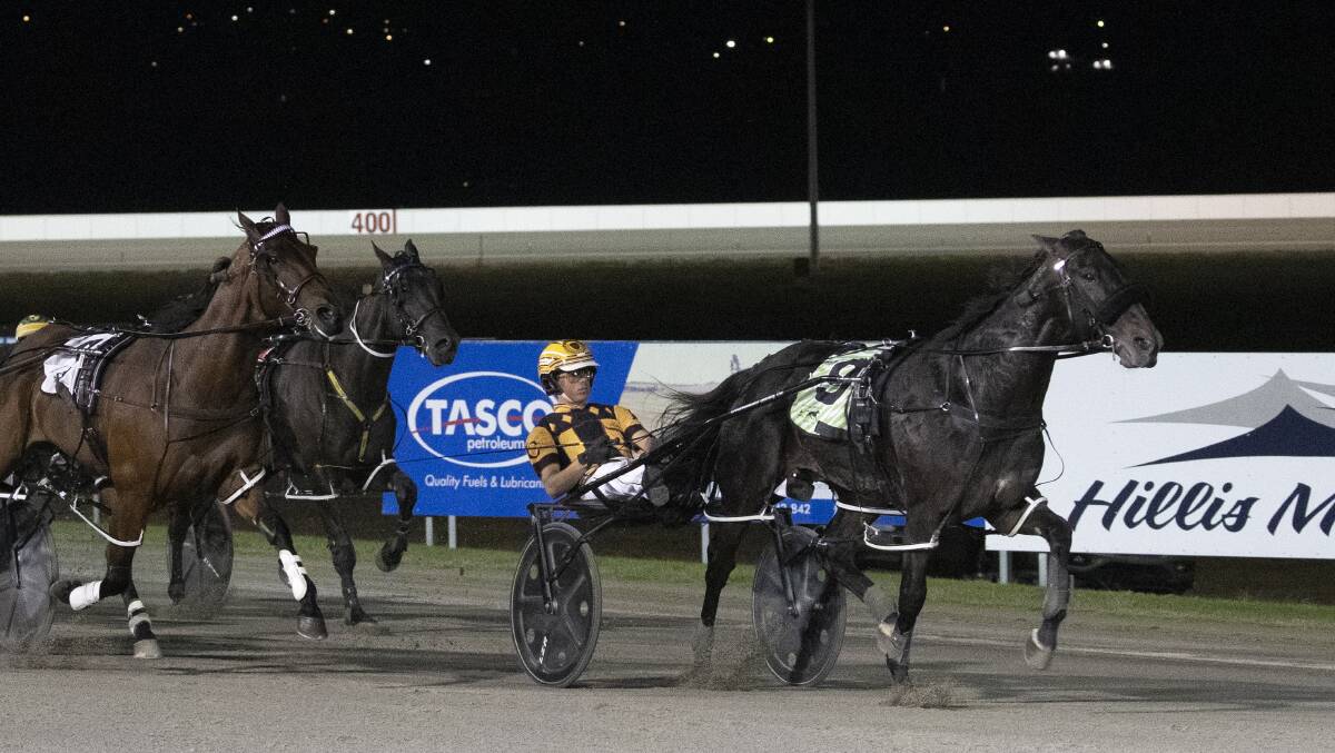 SHORTEST WAY HOME: Mach Shard didn't pass a horse on his way to taking out the Wagga Pacers Cup in track record time on Saturday. Picture: Madeline Begley