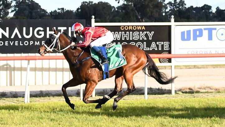 LIKE A JETT: Jockey Jett Stanley guided the Andrew Dale-trained Mojo Music to an easy win at Corowa on Monday. It was the three-year-old geldings second win this preparation. Picture: TRACKPIX