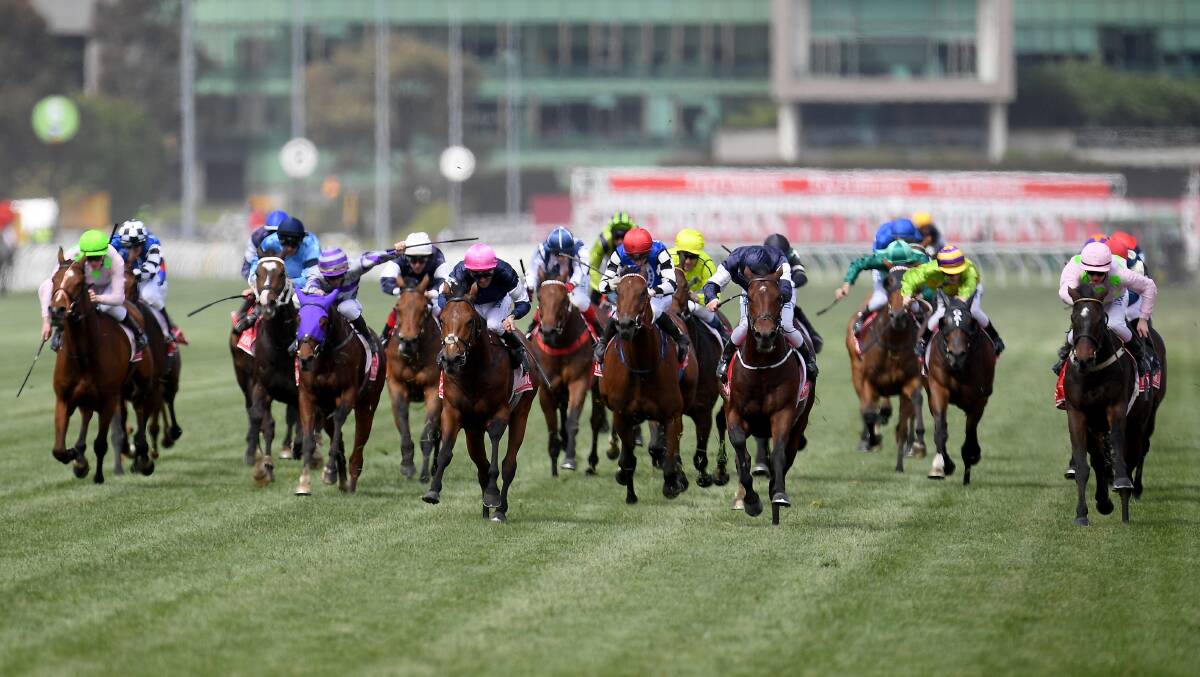 RUN TO THE FINISH: The concluding stages of last year's Melbourne Cup where Single Gaze run 17th.