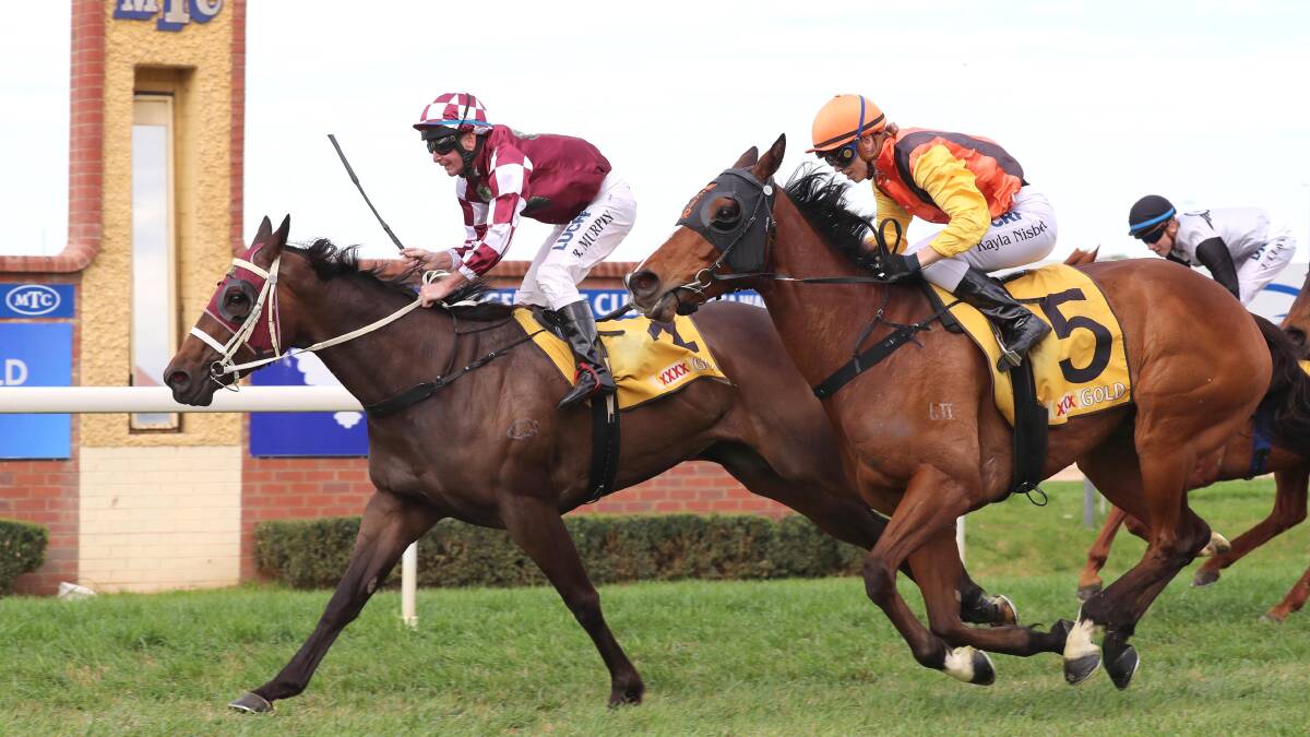HOT STREAK: Takissacod makes it back-to-back wins at Murrumbidgee Turf Club on Saturday for Wagga trainer Scott Spackman and Bryan Murphy. Pictures: Les Smith