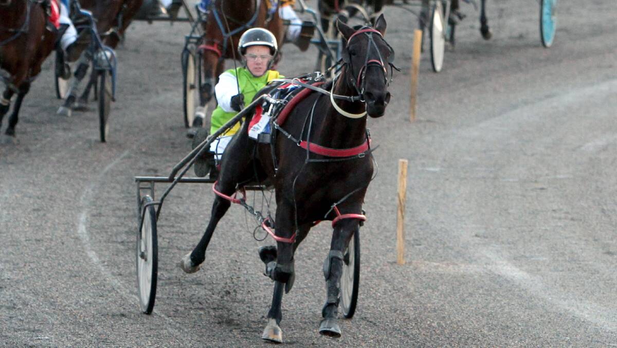 HOT RUN: Regal Ashes is looking to extend her good run of form in a Menangle Country Series final for trainer Peter Schiller on Saturday.