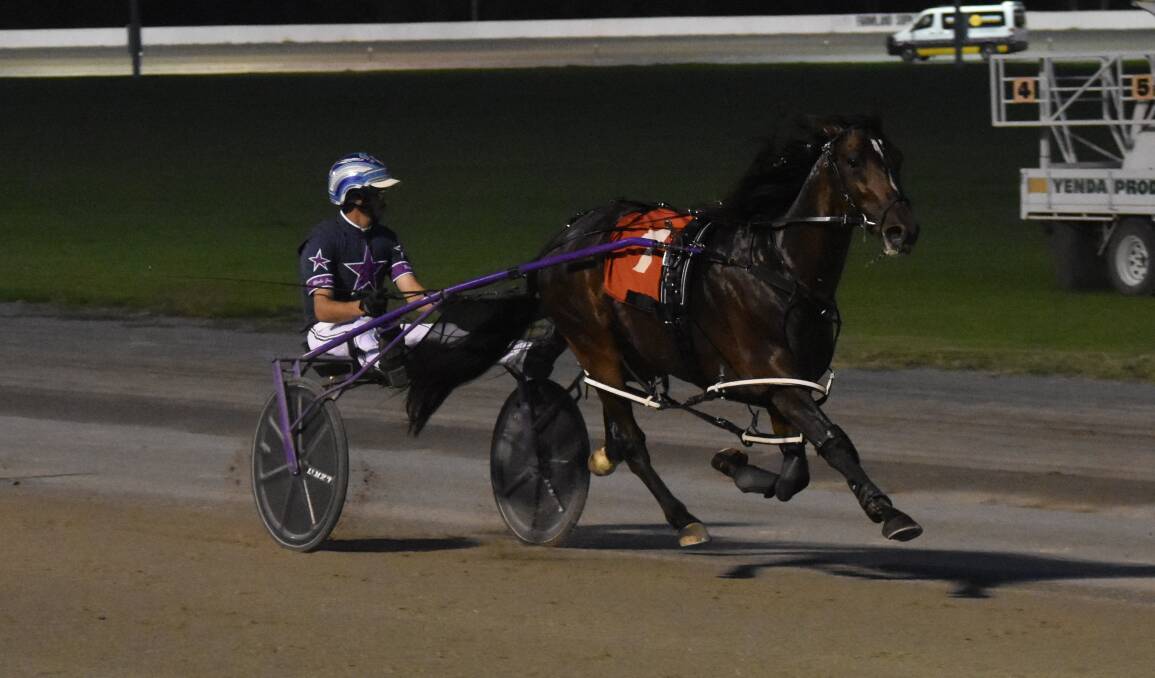 IN CLEAR AIR: Sugar Apple cruises to the line in the second of the MIA Breeders Plate heats for Blake Jones at Leeton on Tuesday. Picture: Courtney Rees