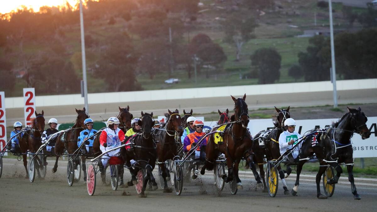 Harness Racing NSW are exploring racing at other Riverina clubs besides Wagga during the coronavirus crisis.