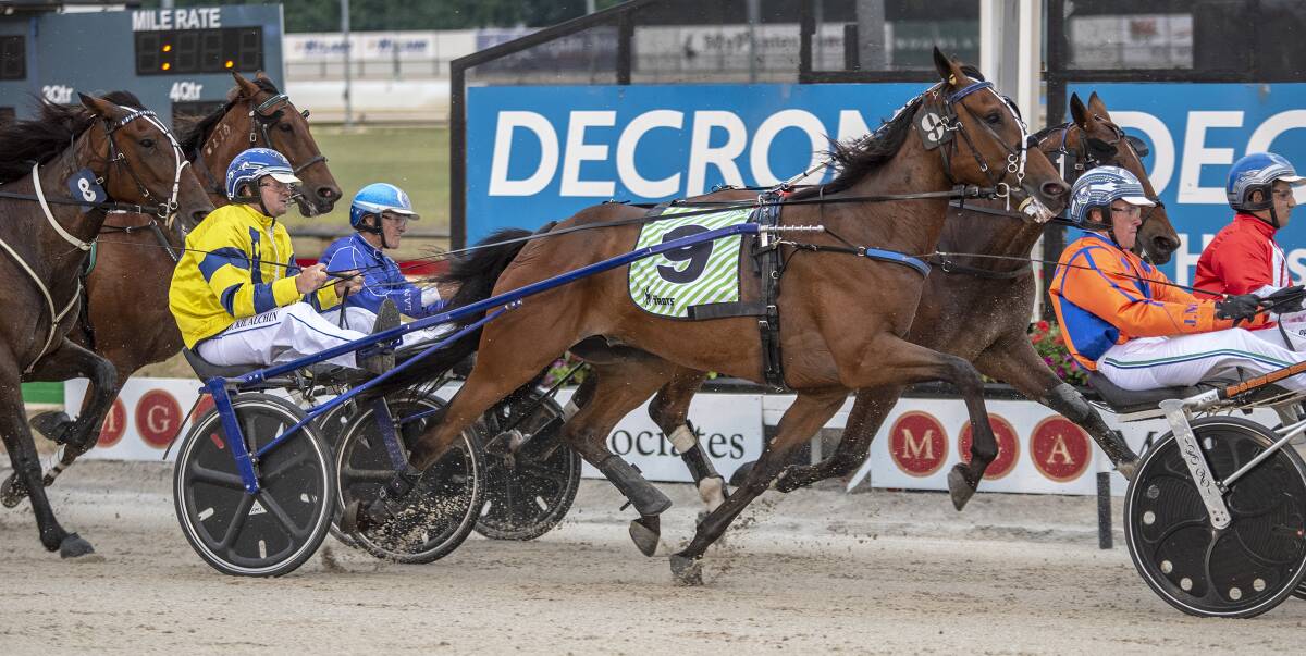 TOP GRADE: Former Temora horseman Rickie Alchin qualified Tough Monarch for the Inter Dominion trotters final on Saturday. Picture: Ashlea Brennan Photography.