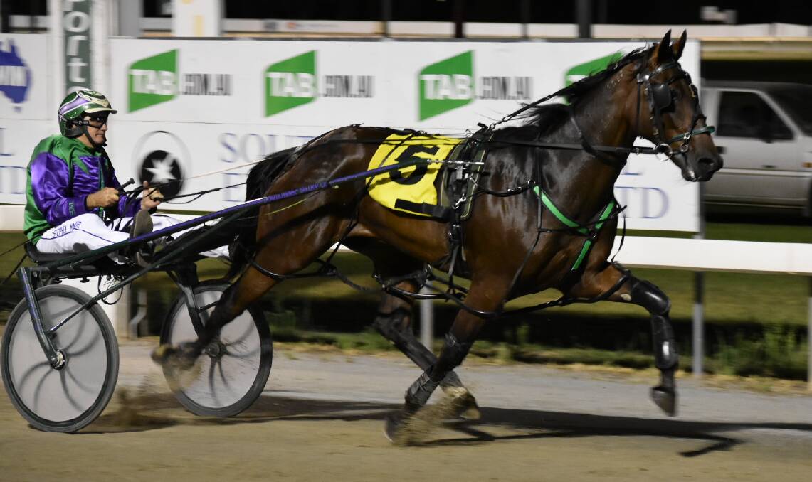 BIG WIN: Mirrool trainer-driver Stephen Maguire comes over the line to win the MIA Breeders Plate with Major Roll at Leeton on Friday night. Picture: Courtney Rees