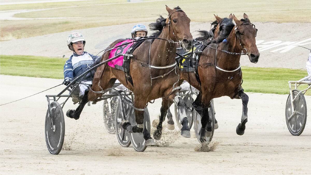 JUST TOO GOOD: Greg Sugars urges Maajida to the line in her Vicbred Super Series final win. Picture: Stuart McCormick, courtesy of HRV.