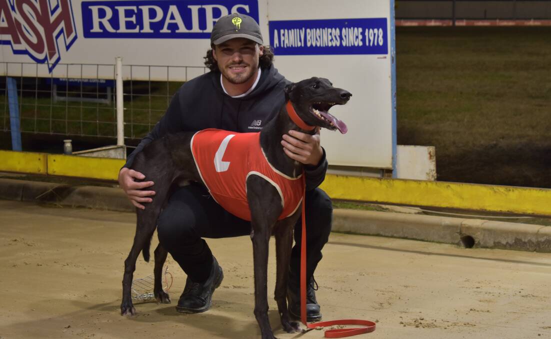 DOUBLE ACT: Handler Jack Strutt with Kinsome Bale won the second of the Million Dollar Chase heats at Wagga on Friday. Picture: Courtney Rees