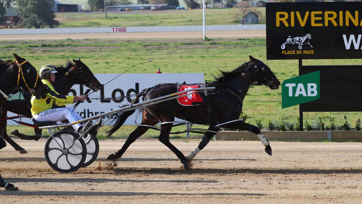Jacquelyn Anne proved too good for her rivals for reinsman Jordan Seary on Friday.