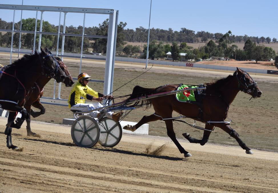 AWAY SHE GOES: Group one winner Molly Kelly was among the winners at the first official trials at Wagga's new harness racing track.