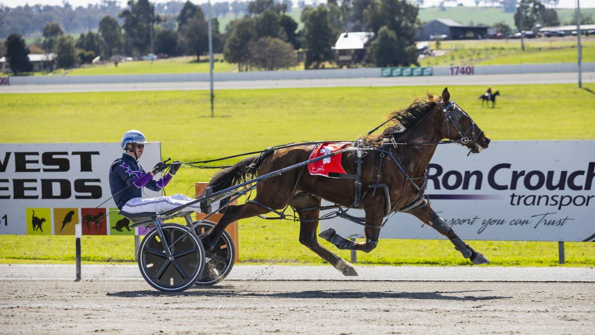 Rock The Tableau races clear for reinsman Blake Jones to score his first win after seven unplaced efforts at Riverina Paceway on Friday. Picture by Ash Smith