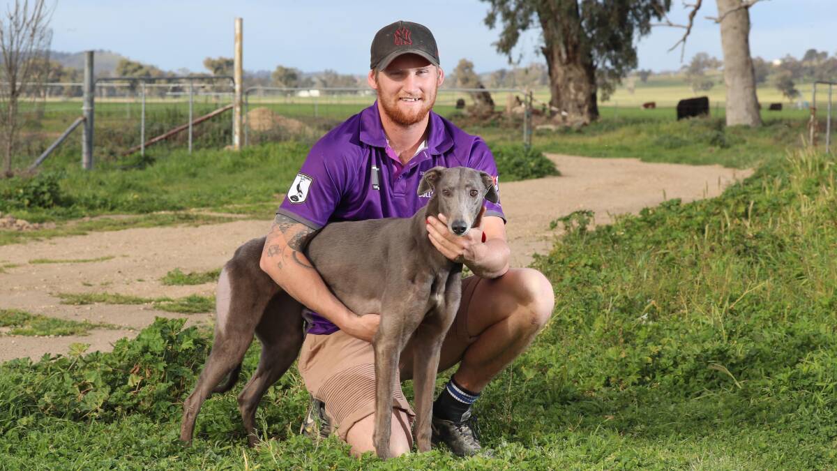BIG WEEKEND: Steven Kemp will have five greyhounds racing at Wagga on Friday, including Thomeli Girl, before a potential grand final appearance for Southcity in their clash with Tumut on Sunday. Picture: Les Smith