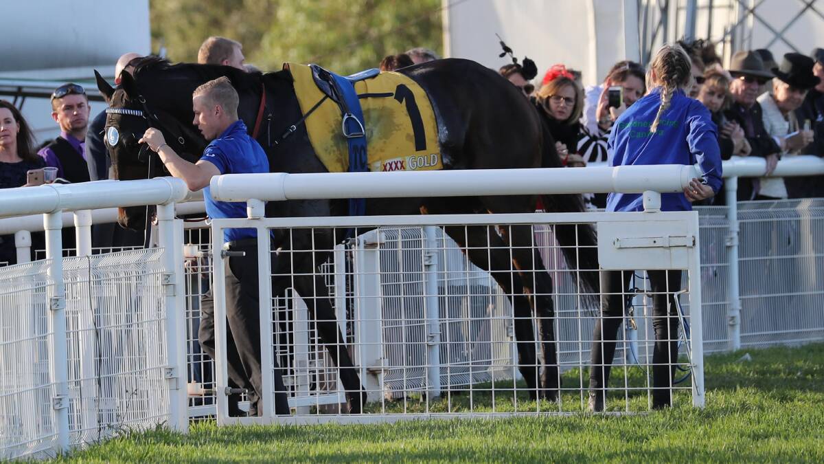 Tally was scratched at the barriers at last year's Wagga Gold Cup. James Cummings and the Godolphon stable have nominated Morton's Fork for Friday's feature.