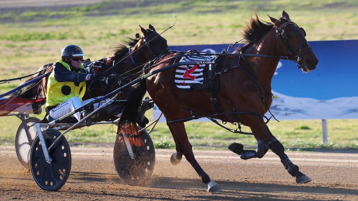 CRUCIAL WIN: Bruce Harpley guides Harps to victory in a Menangle Country Series heat to lead the Southwest and Riverina premiership by one.