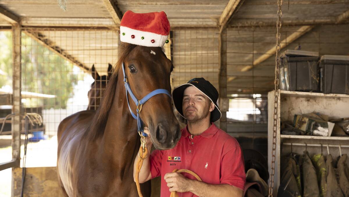 Matt Harrington is chasing an early Christmas present with Life Gets Better at Riverina Paceway on Tuesday.