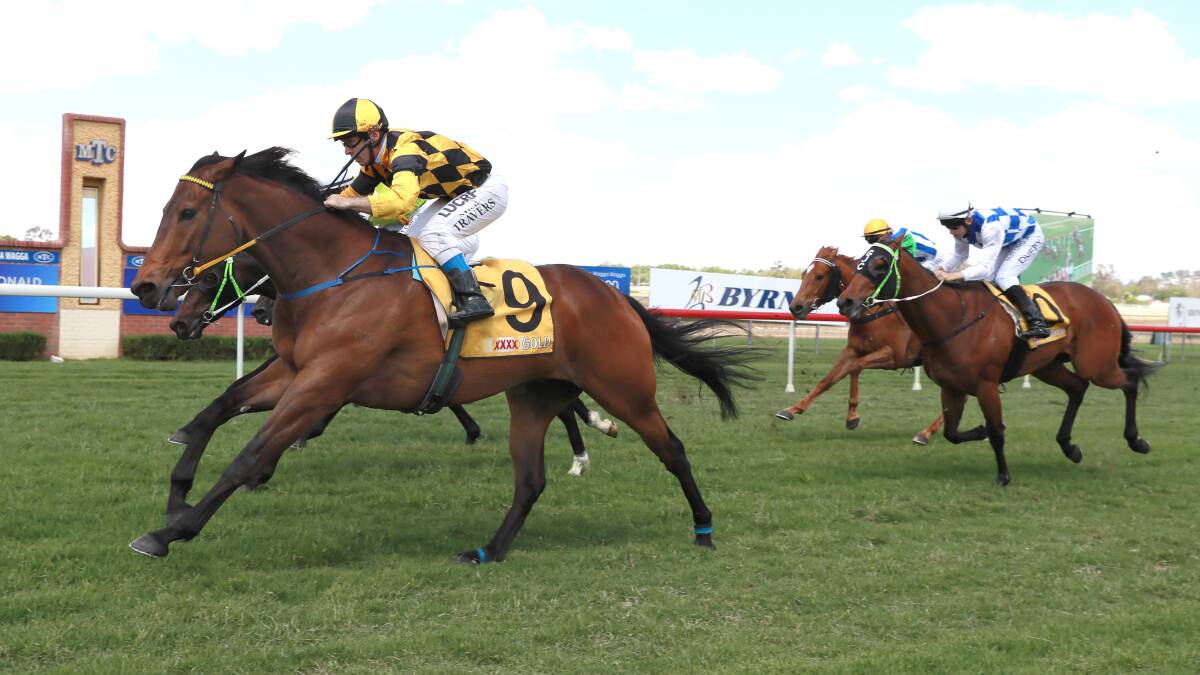 HOLDING ON: Michael Travers guides Strikeman to victory in a race which saw Rebeka Prest dislodged at Murrumbidgee Turf Club on Saturday. Picture: Les Smith
