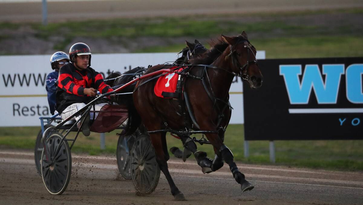 Sporty Dancer added to her impressive record at Albion Park on Saturday.
