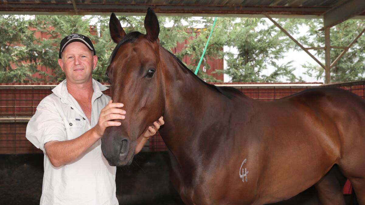 Chris Heywood has drawn one with Delievered in the Towong Cup on Saturday.