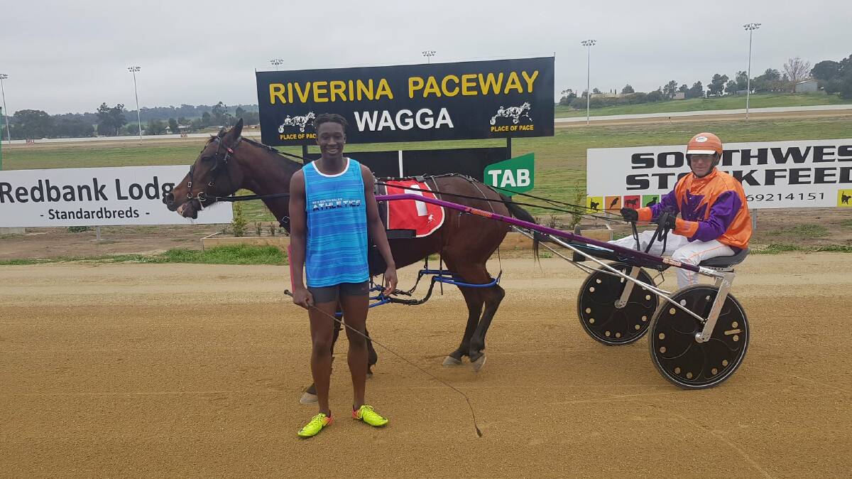 Godfrey Okerenyang was run down by Miss Modern Ruby and Steven Harris in an exhibition race at Riverina Paceway on Sunday.