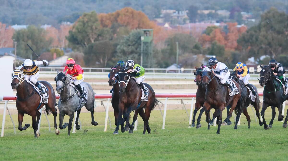 Mathew Cahill rates Inverloch to perfection to take out the Waga Gold Cup on Friday.