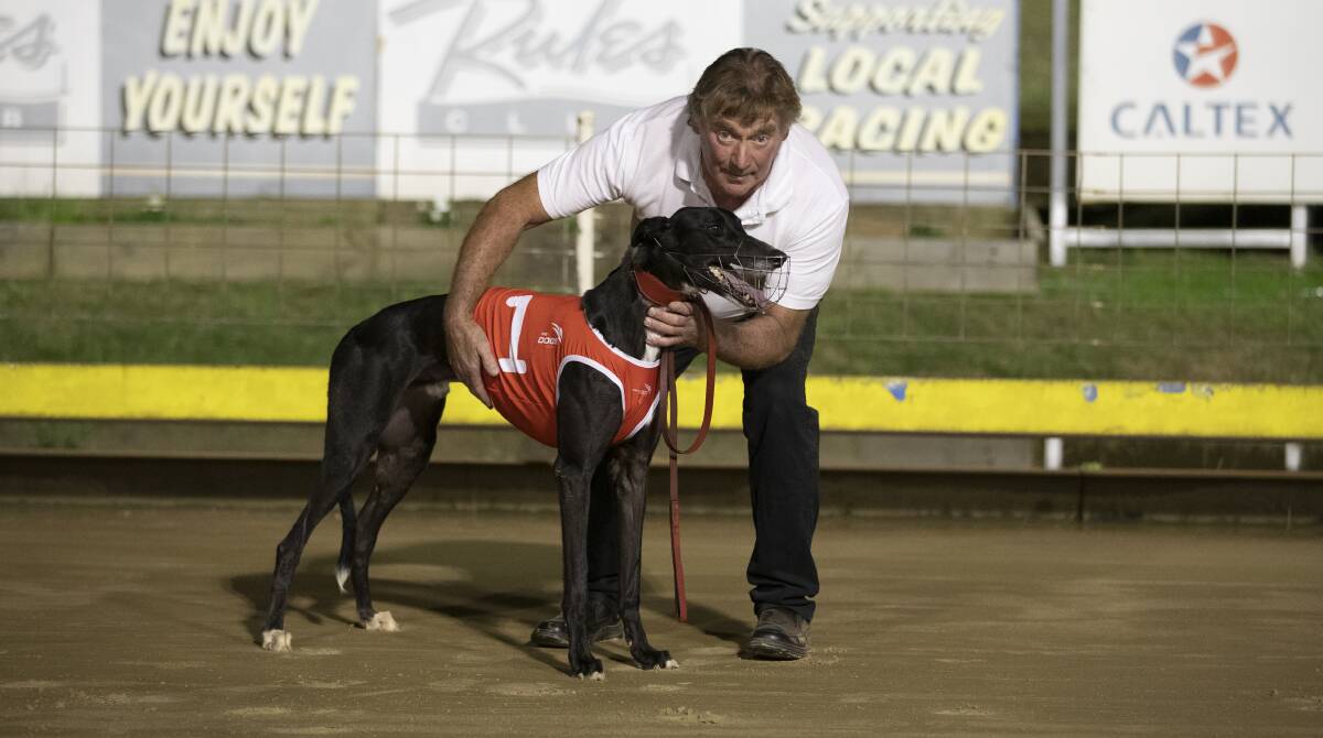 GOOD DRAW: My Boy Rockin' has come up box one for the first of the three Graeme Hull Memorial Cup heats at Wagga on Friday.