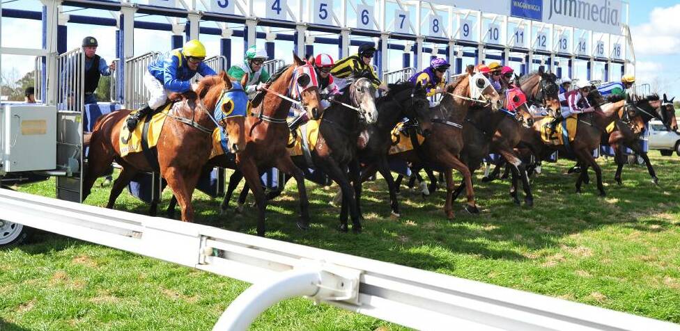 Gundagai trainer Michelle Russell has been disqualified for 12 months after one of her horses returned a positive swab.