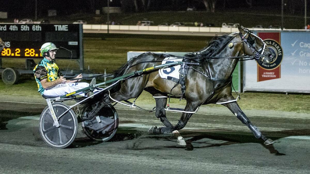 FAVOURITE RACE: Spare Me Days, pictured winning with three Young Pacers Cup in 2018, is chasing more success in the feature race on Friday. Picture: Ashlea Brennan Photography