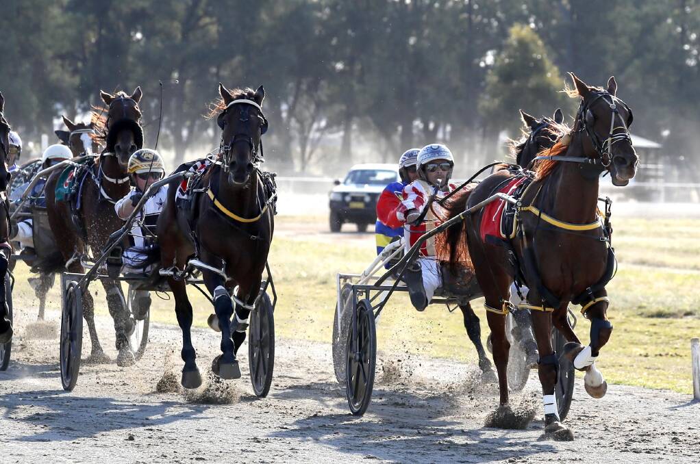 GOOD FORM: Peter McRae drives Renway Reactor to victory at Coolamon on Monday to continue his good run following three wins at Riverina Paceway on Friday. Picture: Les Smith
