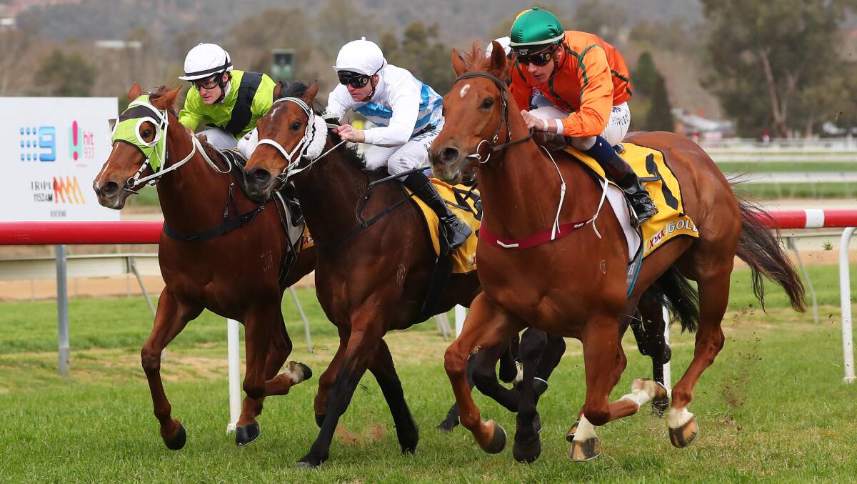 BOOKEND: Nick Heywood guides Liu Bang to victory in race one as part of a double at Murrumbidgee Turf Club on Saturday. Picture: Emma Hillier