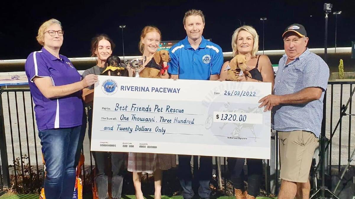 The Dachshund Dash created one of the biggest crowds ever at Riverina Paceway on Saturday.