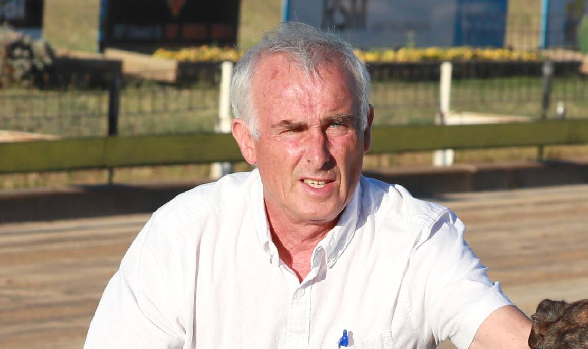 Peter Dooner lines up Got A Group in a quality free for all at Wagga on Friday.