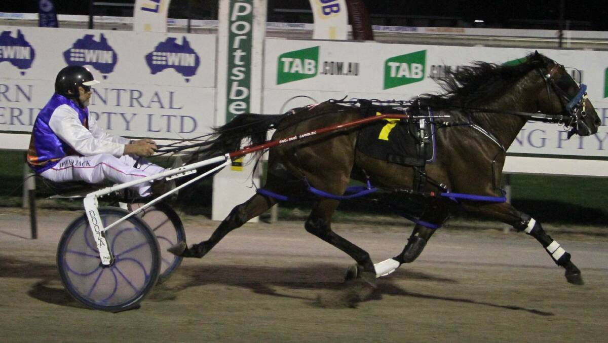 Call Me Hector, pictured winning a MIA Breeders Plate heat in 2016, has drawn one for the Junee Pacers Cup on Sunday.