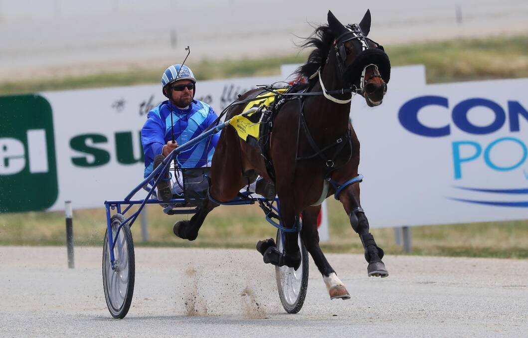 Daryll Perrot won with Hy Voltage at Mildura on Friday.