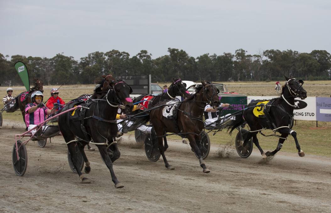 FAST FINISH: Ultimate Hughey charges down the middle of the track to take out the Coolamon Pacers Cup on Monday. Picture: Madeline Begley